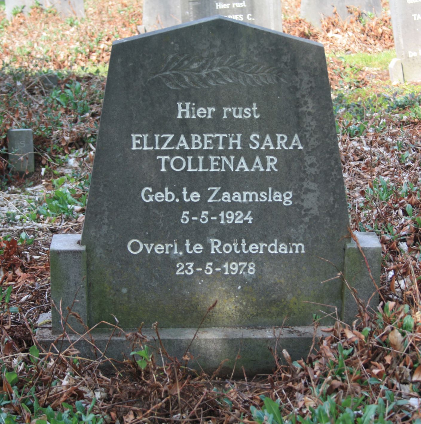 Elisabeth Sara Tollenaar