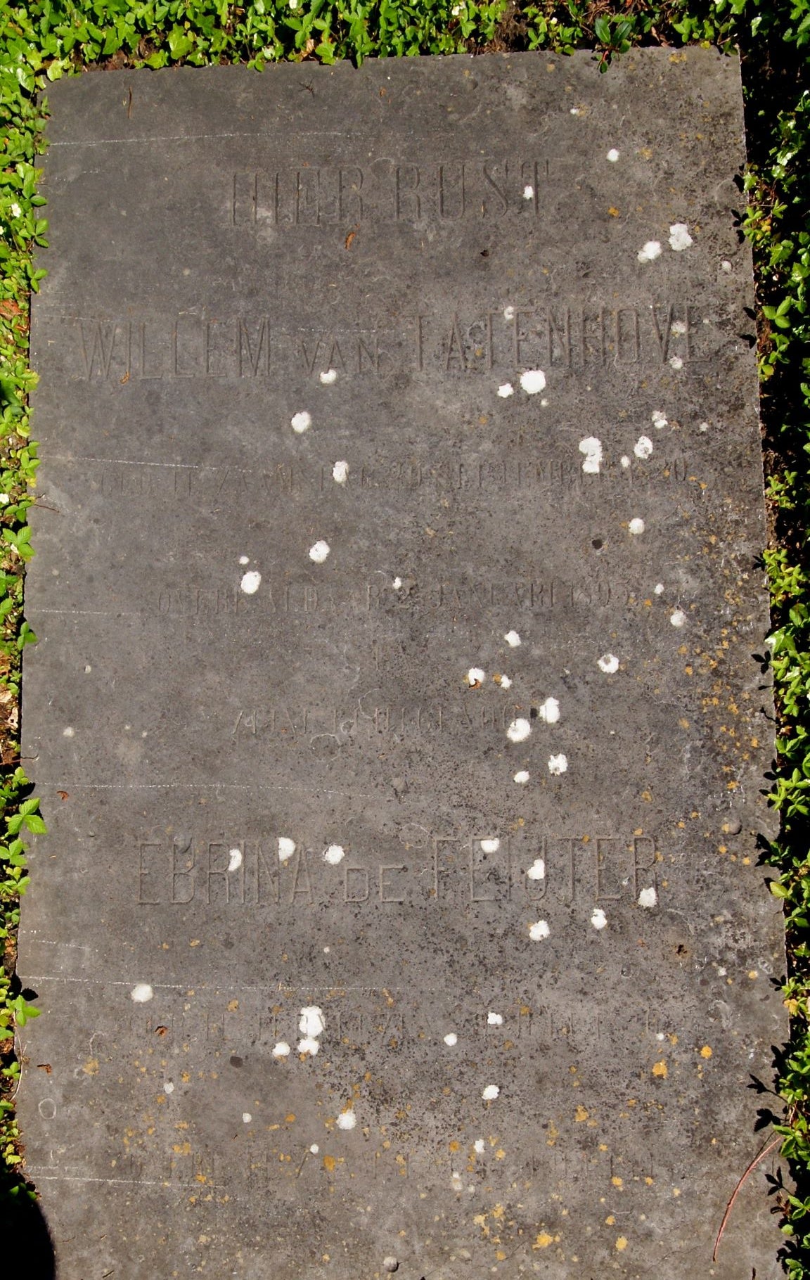 Willem van Tatenhove