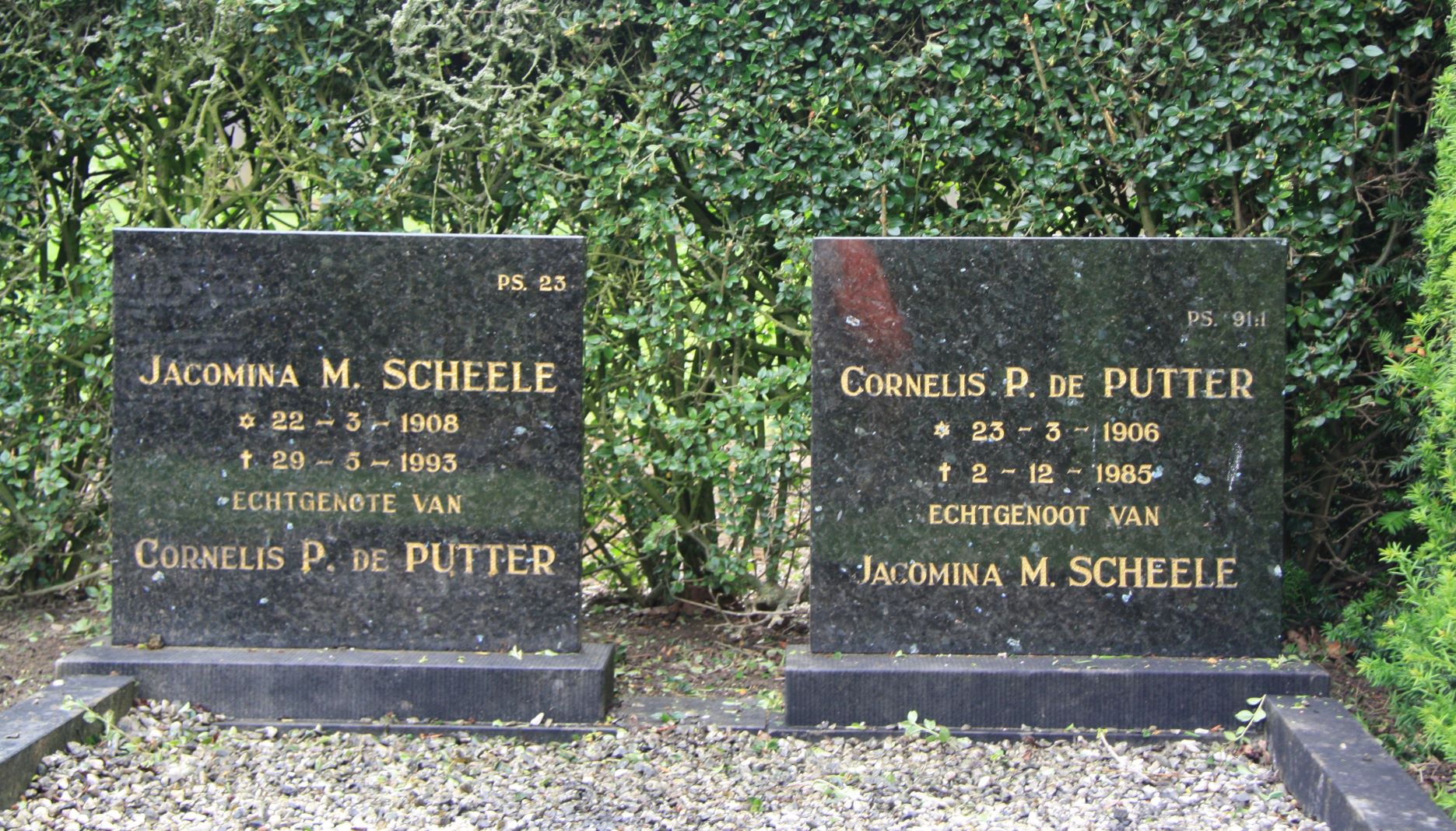 Cornelis Pieter de Putter