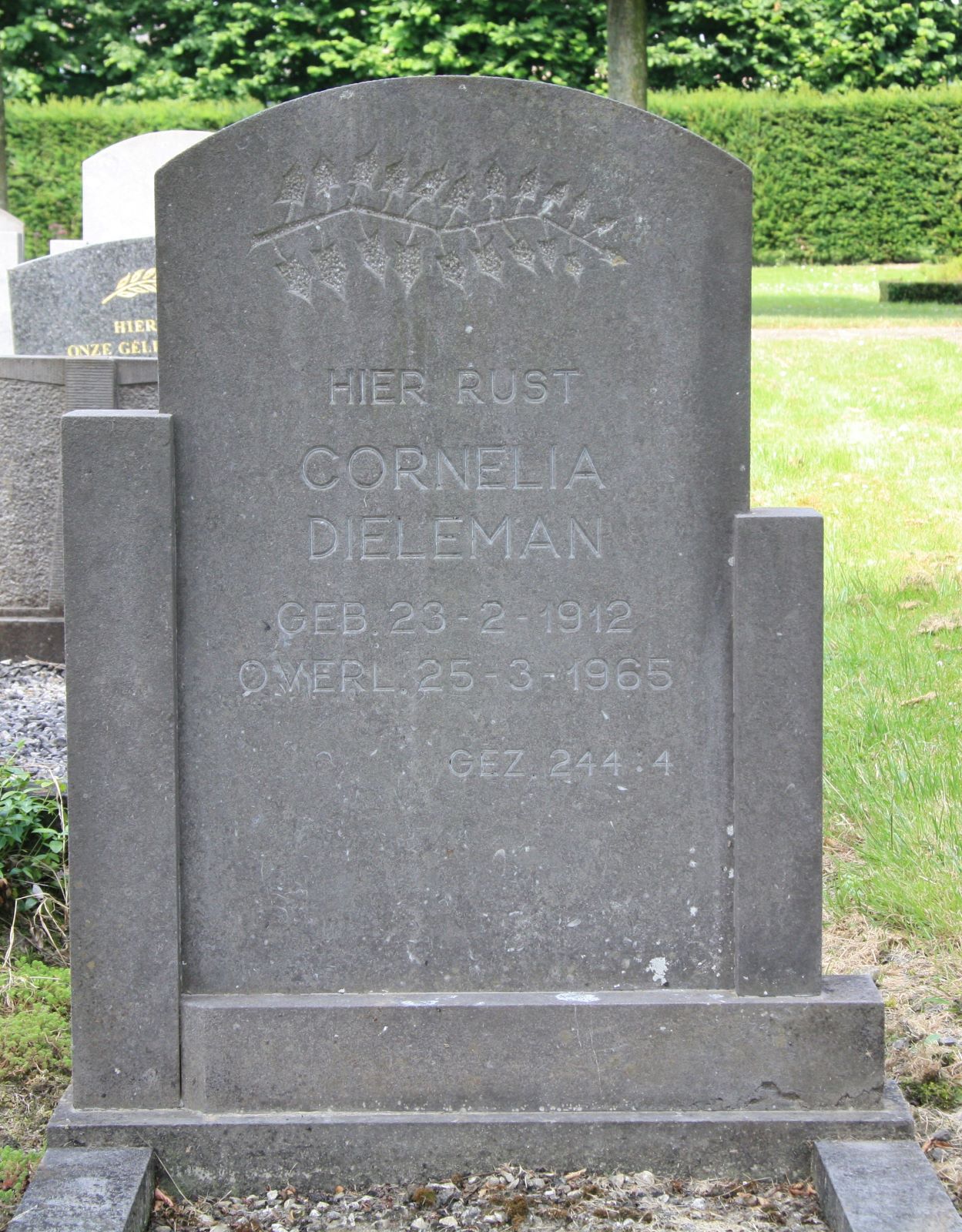 Cornelia Dieleman