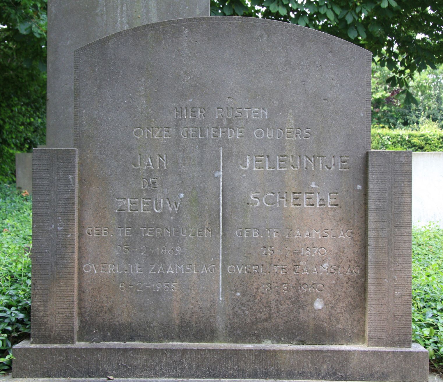Jeleijntje Scheele