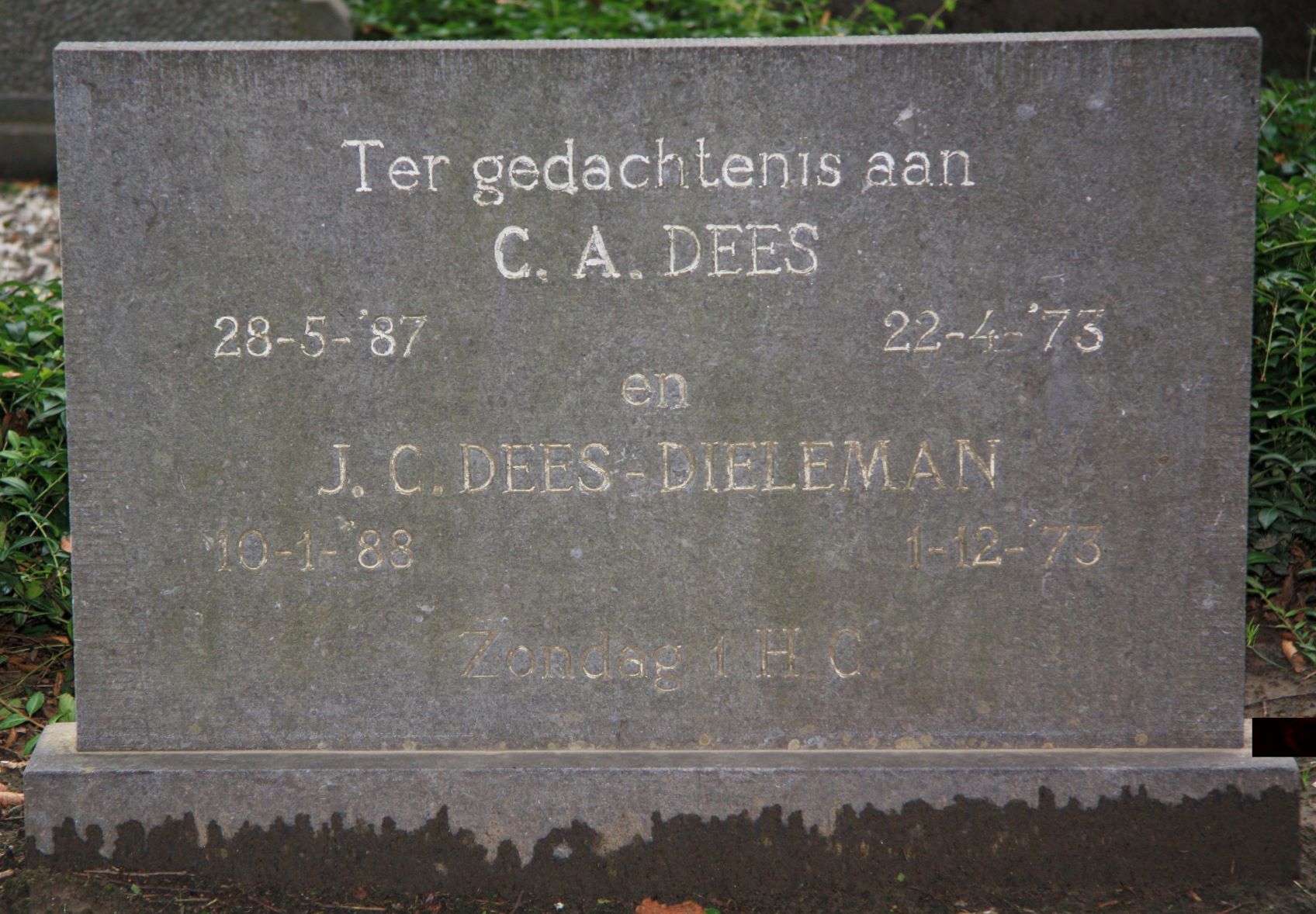 Cornelia Janna Dieleman